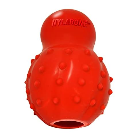 Jouet à Mâcher Nylabone S Cover