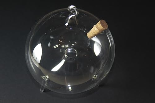 Fruchtfliegenfalle aus Glas, 10cm. – Miniatur