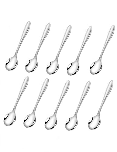 PAVNSO 10 PCS Tiny Stainless Steel Spoons, Mini Size Spoon