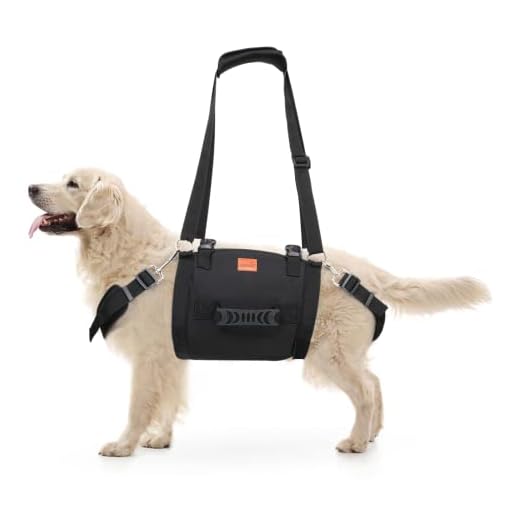 LOOBANI Emergency Dog Lift Harness for Back Legs, Help Them Up Harness for Large Dogs Support with Adjustable Handle, Aid Senior Dogs, Joint Injuries, Arthritis, ACL, Up and Down Stairs (XLarge)