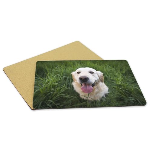 Dessous en liège grand format lot de 4 sets de table souples chien
