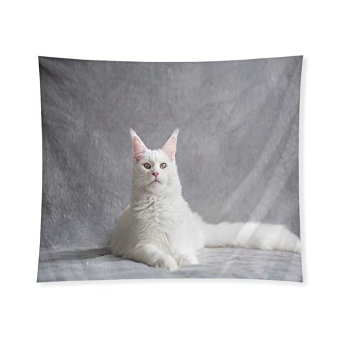 �^�y�X�g���[ �Ǌ|�� ���C���N�[�� �L �y�b�g ���L ������̓��� �Ǌ|�� �Ǐ��� �g�� �z���f�[�p�[�e�B�[ ���͋C�]�� ���M�t�g