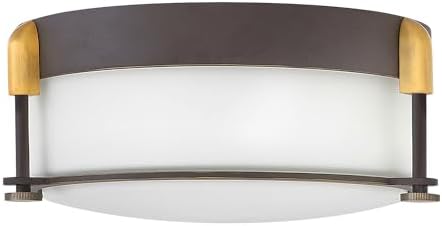 Hinkley Colbin 3231OZ Small Flush Mount Ceiling Light, Decorative Knurled Knobs, Etched Opal Glass, Oil Rubbed Bronze