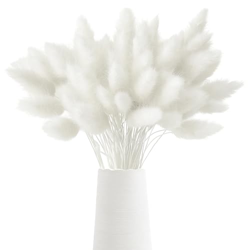 120 Cabeças de Pampa secas ramos secas flores secas decorativas Pampasgras Bouquet para decoração de casa decoração de salão de eventos de casamento arranjos florais (branco)