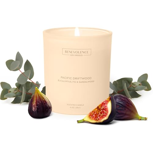 Benevolence LA Eucalyptus, Fig & Sandalwood Candle