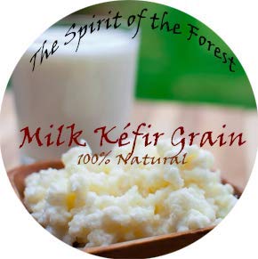 Milk Kefir Lebanese Grains - Fresh Live Active Probiotic Starter Cultures (1 TBSP)