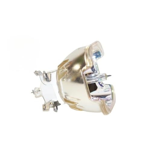 Ampoule de projecteur R9802213 haute performance pour DP2K-6E