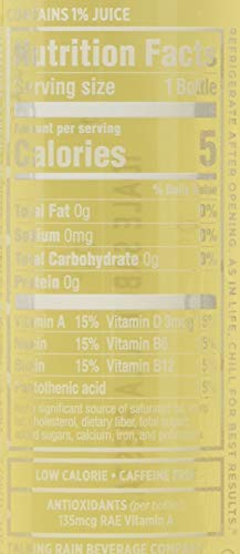 Image of SPARKLING ICE Sparkling Water Plastic Bottle, 16571953381, Ginger Lime, 17 Ounce