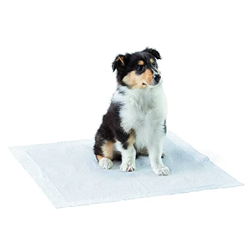 Croci C6020255 Saufähige Unterlage für Welpen Super Nappy, 60 x 60
