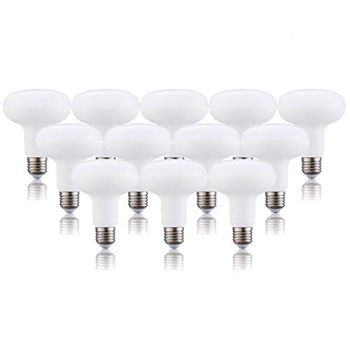 Ymzm Dimmable Br30 Led Bulb,1320 Lumens 12W (100W Equivalent Halogen Lamp), 5000K (Daylight White), Dimmable Led Light Bulb, Wide Flood Light Bulb, Edison E26 Medium Base,120 Beam Angle, 12-Pack #TOP22