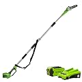 Greenworks Elagueuse sur perche à batterie G40PS20K2 (Li-Ion 40V 20cm longueur de sabre 8 m/s vitesse de chaîne barre télescopique en aluminium 3 pièces avec batterie et chargeur)