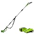 Greenworks Elagueuse sur perche à batterie G40PS20K2 (Li-Ion 40V 20cm longueur de sabre 8 m/s vitesse de chaîne barre télescopique en aluminium 3 pièces avec batterie et chargeur)