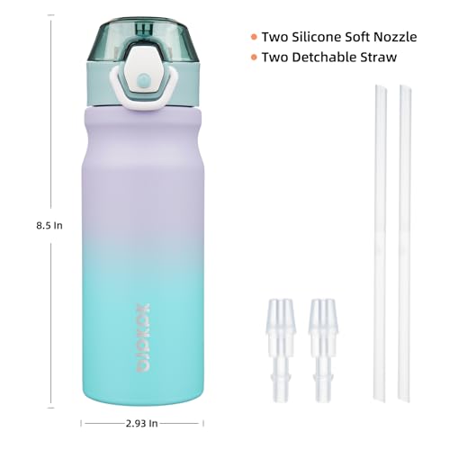 Image of BJPKPK 18 oz Water Bottle with Straw & Handle, Insulated Stainless Flask | Leak Proof Locking Lid, Thermal, Double Wall Vacuum, Keeps Hot /Cold, Dishwasher Safe, Travel & Sports, Lavender Green