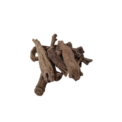 Qust Al Hind Raíz | Costus indio | 100g