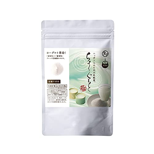 タマチャンショップ ちょーぐると 100g 進化した乳酸菌 1袋に約1兆9293億個の乳酸菌 植物性 動物性 パウダー 粉末 ヨーグルト 美粉屋