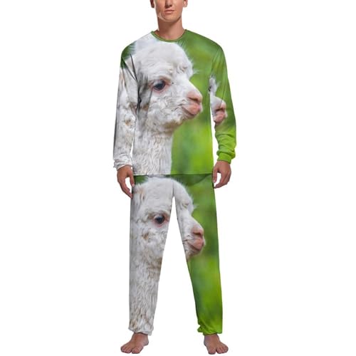 Ensemble pyjama homme en alpaga naturel, le cadeau de nuit idéal et élégant