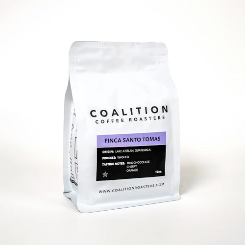 Coalition Coffee Roasters Guatemala Light Roast Whole Bean Coffee