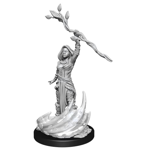 WizKids WZK90223 Accessories animez vos soirées jeux de rôle entre amis