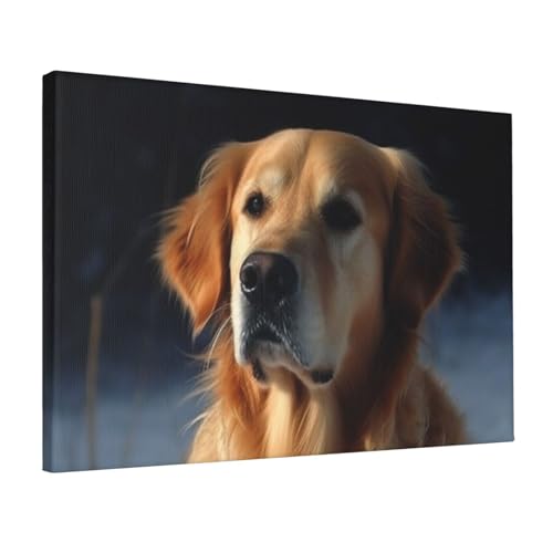 Tableau Golden retriever haute definition impression sur toile tendue
