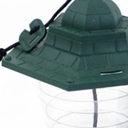 Mangeoire oiseaux extérieur colibri pour jardin et terrasse