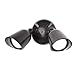 WAC Lighting, Endurance Double Spot Energy Star 30W LED Spot Light 3000K in Black