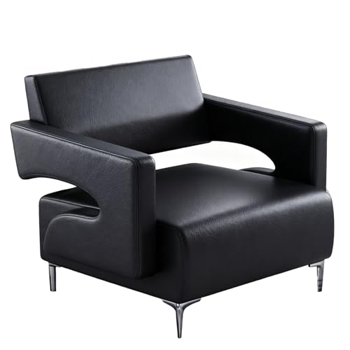 x`֎q EW\t@ƃ`FA ҍp`FA L̃A[Xg PUnƃX|Wgp ItBX̎tGA⃊rO[ɍœKł(Black)