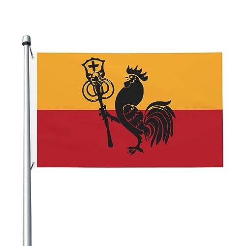 Bandiera della Romagna 3 x 5 Ft bandiere bifacciali durevoli decorazioni da cortile bandiere per feste in casa bandiera di benvenuto