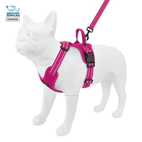 Air Frontier Mesh Dog Harness With Steel Leash D-Ring, Reflective Stitching, And Lightweight Breathable No-Pull Design, Adjustable Neck And Chest Straps For Small To Large Breeds - Fsw, M #TOP3