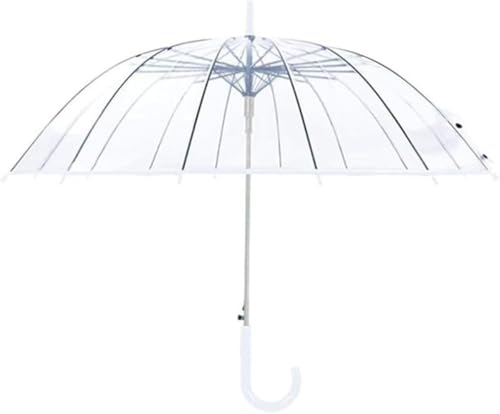 AZIEBAY P NA rj[ 傫TCY 16{ hJ xOXt@Co[ ~J΍ ϋv h h y jp    ʊwEʋ΂ɍœK