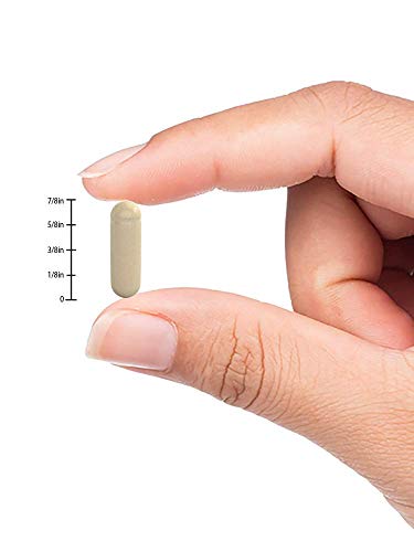 Nature's Truth Valerian Root 1200 Mg Supplement, 90 Count (Pack Of 5) #TOP5