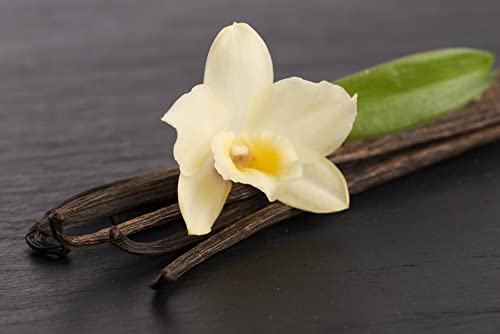 Aromas Mikado Reposición Con Varillas (Vainilla, 6 * 500ml)