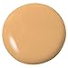 Temptu Perfect Canvas Hydra Lock Foundation, Beige, 1 Fl Oz