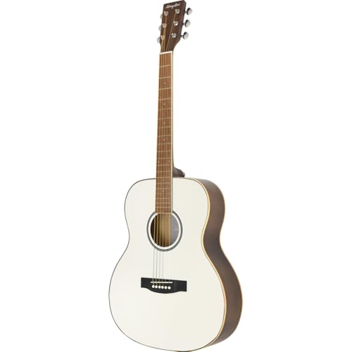 HONEY BEEハニービー　ギター　F-15M/TS マットフィニッシュモデル Amazon | HONEY BEE ハニービー アコースティックギター