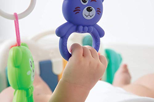 Buba Ginásio De Atividades Com Piano Safari... glide