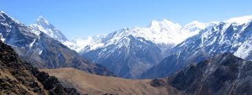 5 Kg Of Authentic & Purest Himalayan Fresh Shilajit - Shipped Directly From Gilgit Baltistan #TOP3