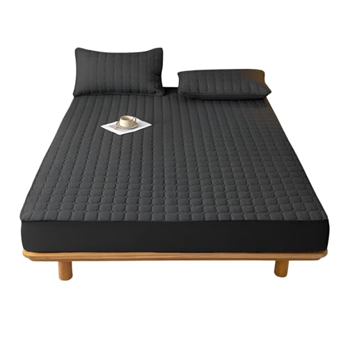 [Miflaier]hV[c }bgXJo[ 360xSʖh ˂V[c lp Œ[U Yh~ 荂eS z ʋC @Ή VO _u NC[ TCY ɗD p xr[PA K