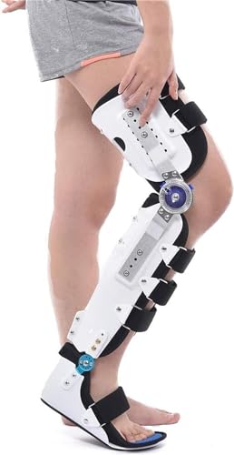 Ҋ֐߁EG֐߁EEu[XAGT|[g֐߈A߉\Ȃӂ͂EEŒuPbgAr֐ߎҊ֐ߌŒi߉\j