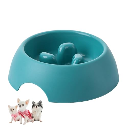 Antischlingnapf für Kleine Hunde, Anti Schling Napf Hund/Katze,Hundenapf, Katzennapf, Katzen/Katzenfutter Napf(Grün)
