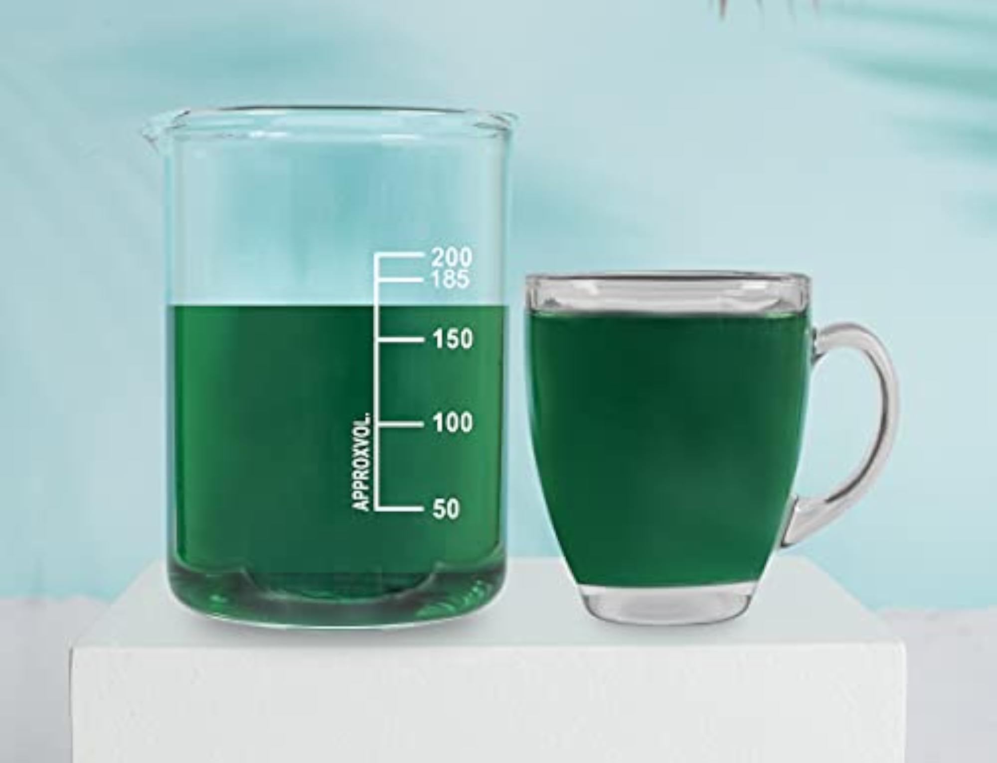Transparent Oval Shape Toughened Glass Tea Cup Set