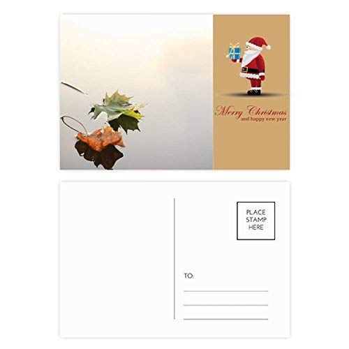 Cartes postales feuilles d'eau et père Noël Fallen Leaves lot de 20 pour vœux sans panne d'idées