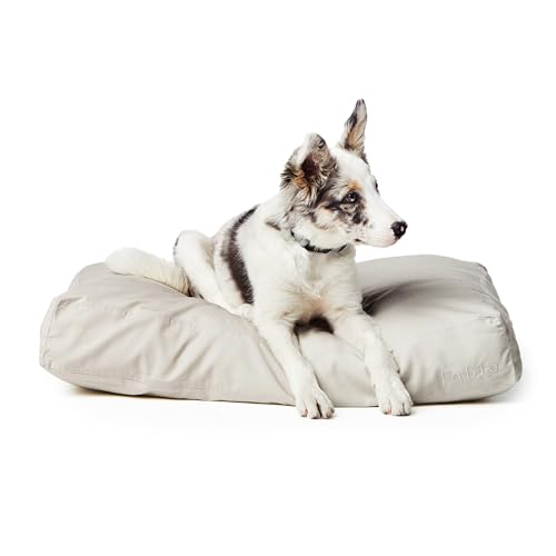 6. Fable Dog Bed