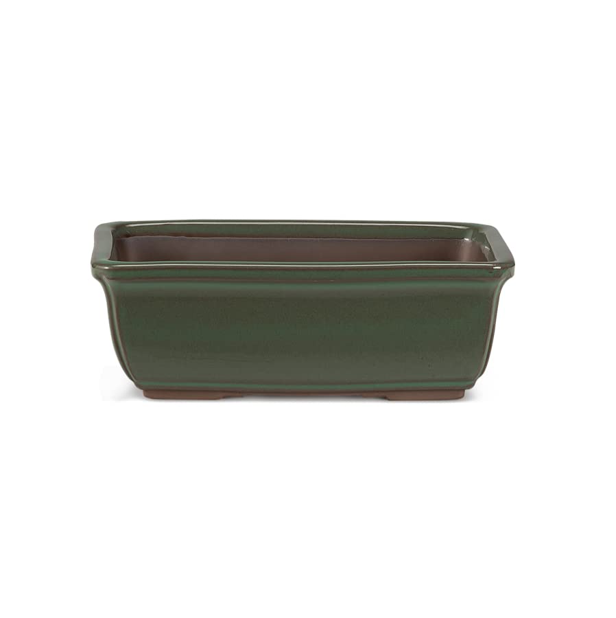 VASO ADATTO A: eretto informale (moyogi); doppio tronco (sokan); eretto formale (chokkan); battuto dal vento (fukinagashi); semi cascata (han-kengai) ; inclinato (chu-shakan). Il vaso presenta due fori per il drenaggio e due prefori