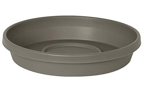 Preisvergleich Produktbild Bloem Terra Untersetzer 8" Peppercorn