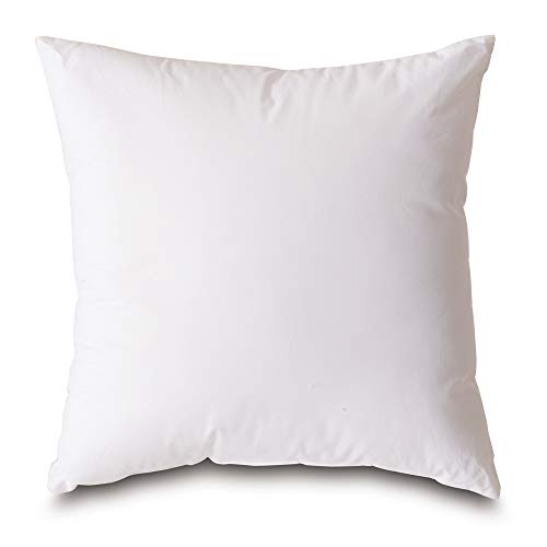 Plankroad Home Décor 10x10 Hypoallergenic Luxury 100% Small Feather Square Pillow Insert, 100% Cambric Cotton Shell, Never Vacuum-Packed, Odorless, Made in USA