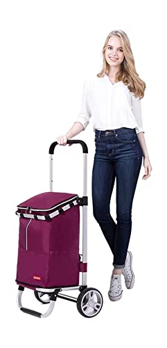 QUANLI Zusammenklappbarer Einkaufstrolley, Teleskop-Einkaufswagen mit 2 Rädern und großer wasserdichter Tasche, robuster… – Bild 3