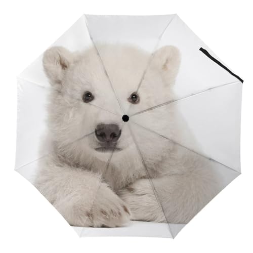 Parapluie de voyage ours polaire idéal pour vos trajets quotidiens sous la pluie