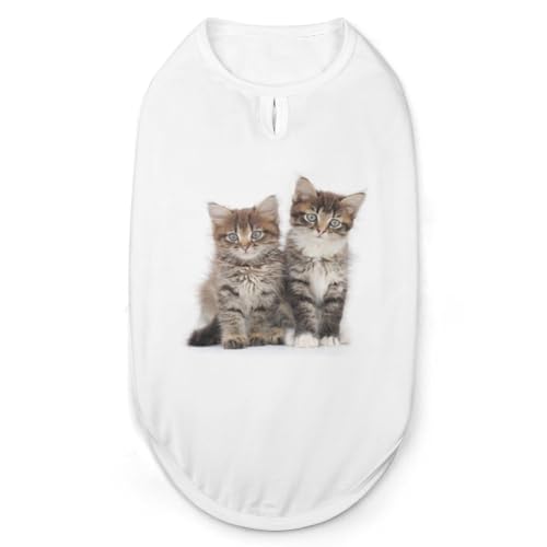 ybg  lR GL  ybgEFA TVc p[J[ Ȃ ̕ ^Ngbv ^Ngbv N[xXg ʋC t@bV S-2XL