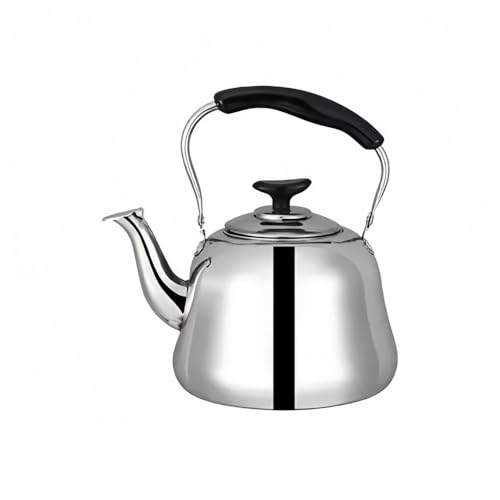 ₩ zCbXPg Pg 304XeX| ƒpd KX Lb`pi ( NVbN, 3L)