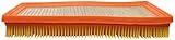 ACDelco Professional A1558C (19239981) Air Filter