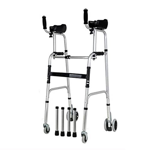 QҗpXebL ԗ֕t҈Ë@Ayʐ܂肽ݎ߉\ȃA~jEs (TCY  : C) Thoughtful